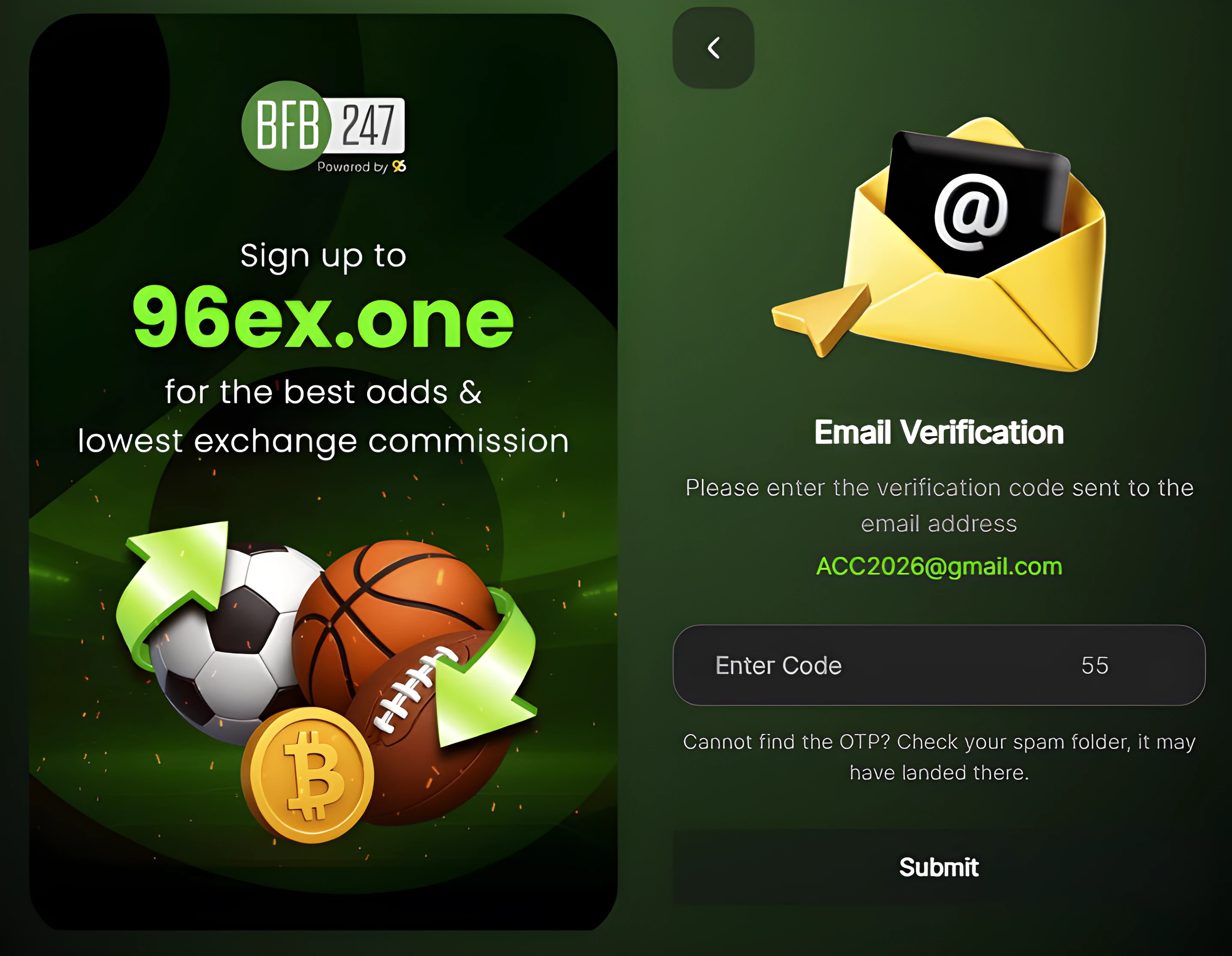 BFB247 96EX email verification screen